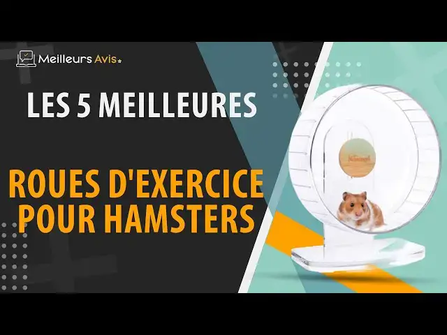 Video thumbnail for ⭐️ MEILLEURE ROUE D'EXERCICE POUR HAMSTER - Comparatif 2024