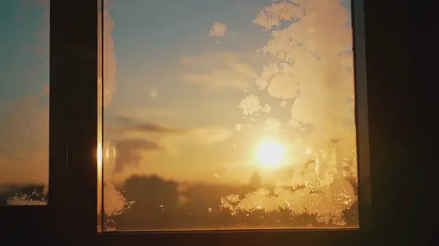 Video thumbnail for Lavender Winter Care Tips