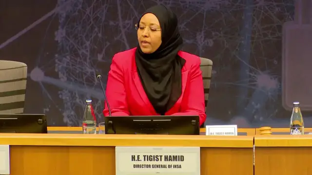 Video thumbnail for Ethiopia: Experts call for deeper collaboration against cyber threats in Africa.