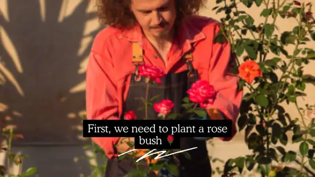 Video thumbnail for How long does it take for a rose to grow 🤔
