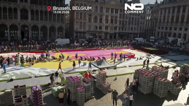Video thumbnail for Brussels unveils giant flower carpet inspired by Hokusai masterpiece