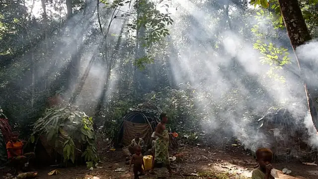Video thumbnail for UN issues call to action on world's vital dryland forests
