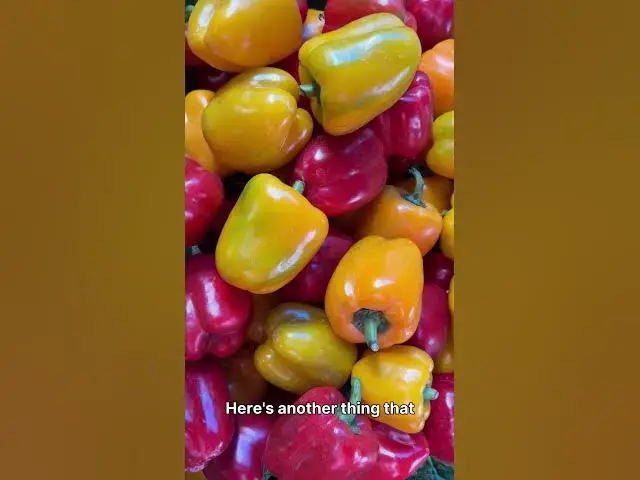 'Video thumbnail for The Green Bell Pepper Secret You’ve Never Heard Before'
