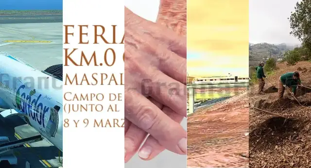 Video thumbnail for Gran Canaria Wochenrückblick vom 23-2-25