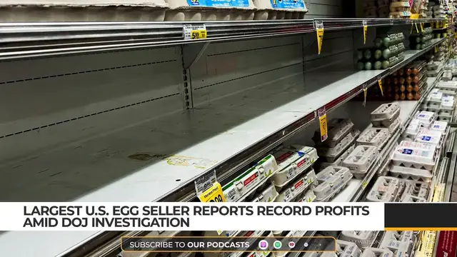 Video thumbnail for Largest US egg seller reports record profits amid DOJ investigation