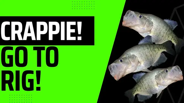'Video thumbnail for Double the number of crappie you catch with this one rig! - double jig rig-how to tie and use'