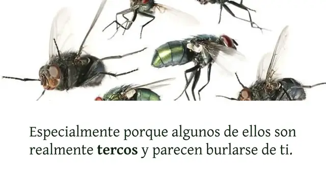 Video thumbnail for Ya no verás moscas en tu casa con el truco del vaso de agua:
