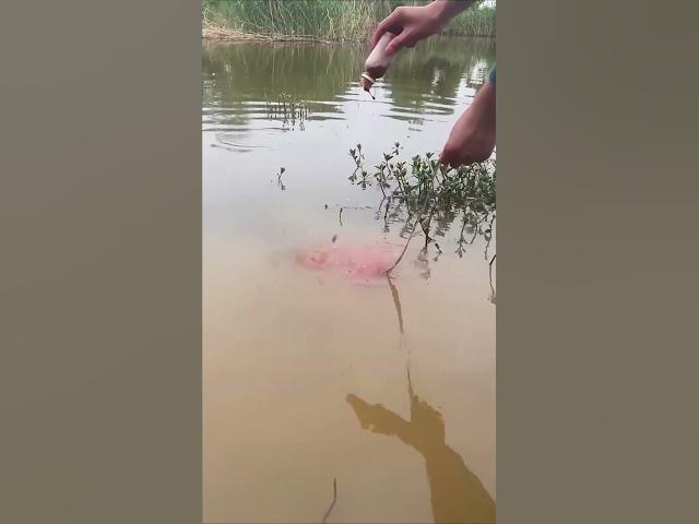 Video thumbnail for #fishing1 mp4
