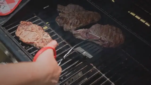 Video thumbnail for Grilling Meats Made Easy