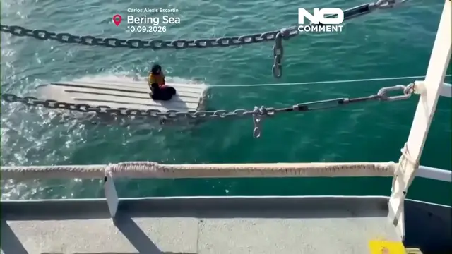 Video thumbnail for Moment teen is rescued after three days adrift in frigid waters