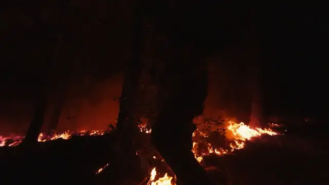 Video thumbnail for France: Slow-motion footage captures controlled forest burn in southwest France.