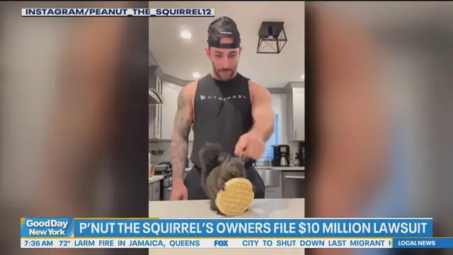 'Video thumbnail for P'nut the squirrel's owner files $10M lawsuit'