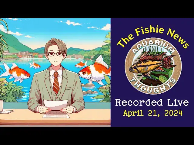 Video thumbnail for The Fishy News - Recorded Live on April 21, 2024