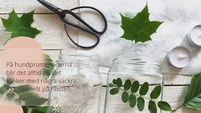 Video thumbnail for Diy: Lövlykta