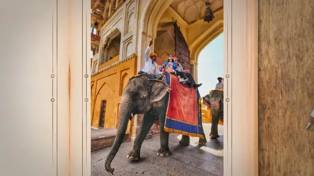 Video thumbnail for Where Can You Ride an Elephant? Unveiling the Destinations!