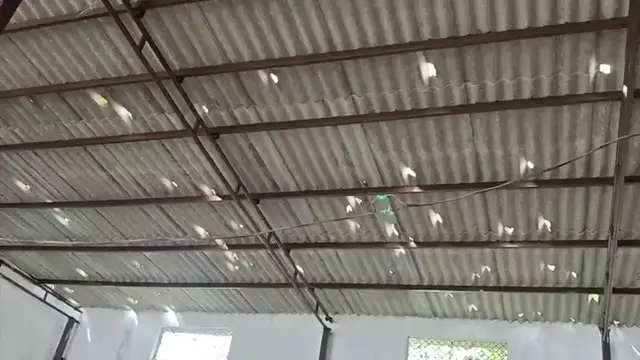 Video thumbnail for India: Golf Ball-Sized Hail Batters Haridwar, Uttarakhand, Shattering Windshields.