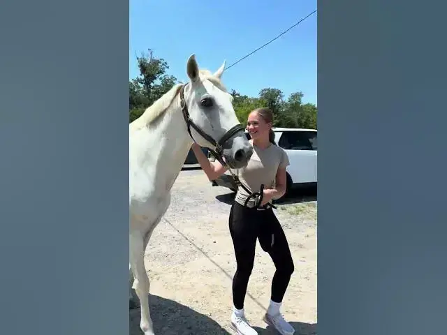 Video thumbnail for BOLEROS HERE💕 #haveitoldyoulatelythatiloveyou #equestrian #horsecare #horseriding #horsegirl