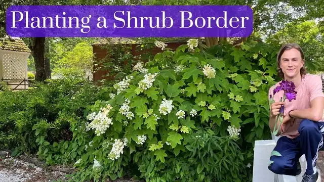 Video thumbnail for SHRUB BORDER - How to Plan & Install in Your Garden - Complete Tutorial - Perennial Plants