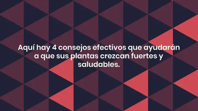 Video thumbnail for 4 trucos de magia para que tus plantas florezcan todo el año: