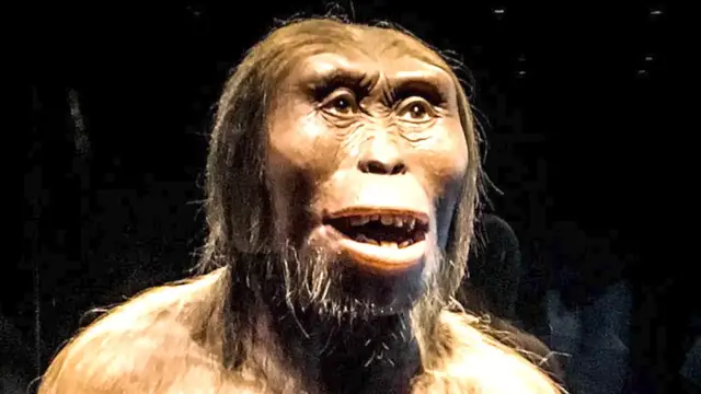 Video thumbnail for Lucy 2024 Milestone: 50 Years Since Discovery, Still Driving Science