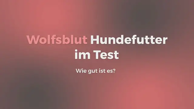 Video thumbnail for Wolfsblut Hundefutter im Test: Wie gut ist es? (2024)