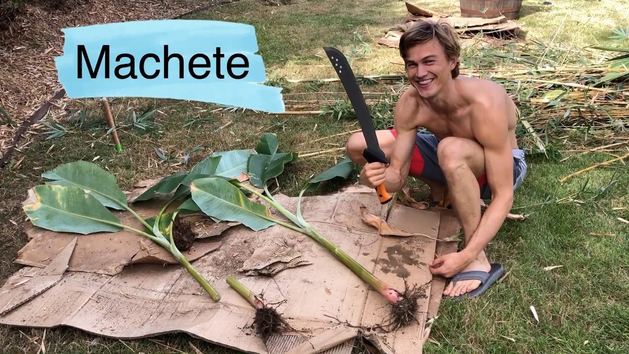 Video thumbnail for Banana Plant Propagation