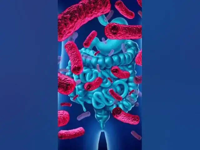'Video thumbnail for "LA GASTRITIS: UNA INFLAMACIÓN QUE PUEDE AFECTAR TU CALIDAD DE VIDA"'