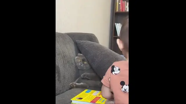 Video thumbnail for Cat Gets Comically Stuck Under a Pillow