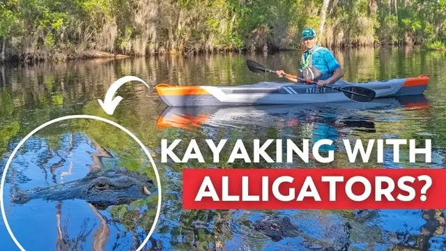 Video thumbnail for Kayaking with Gators in the Okefenokee Swamp |  Testing the Decathlon Itiwit X500