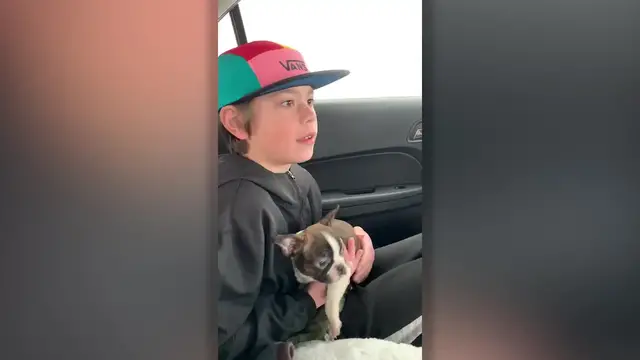 Video thumbnail for Boy Surprised With Puppy From Father Who Arranged Gift Before He Died | Happily TV