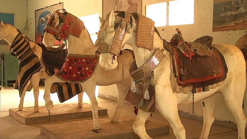 Video thumbnail for Cameroon's Demsa Museum traces the centuries-old history of horses
