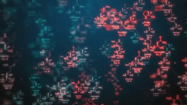 Video thumbnail for Exploring the Four Types of Macromolecules: Building Blocks of Life