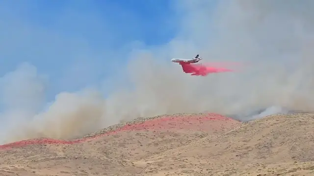 Video thumbnail for US: Hawk Fire spreads across Nevada’s Washoe County, forces evacuations.
