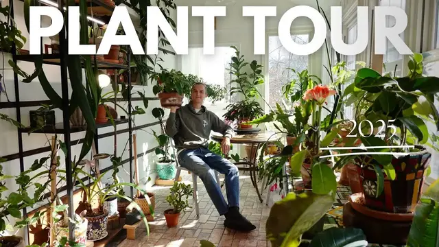 Video thumbnail for HOUSEPLANT TOUR - 125 Indoor Plants in my Houseplant Home - 2025