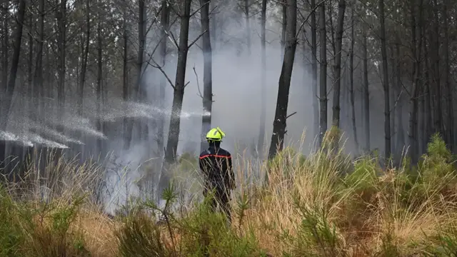 Video thumbnail for Monster fires spark debate over France's forest management