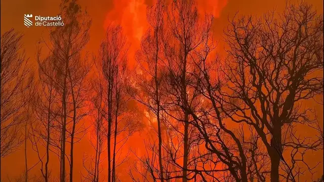 Video thumbnail for Spain: Firefighters battle wildfire from air and ground as blaze proves difficult to contain in eastern Spain.