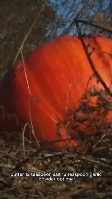 Video thumbnail for Roasted Pumpkin Seeds | pumpkin seed recipe