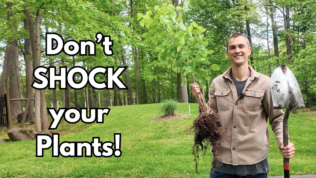 Video thumbnail for 5 Tips for MOVING PLANTS in the Garden - How to Avoid Transplant Shock