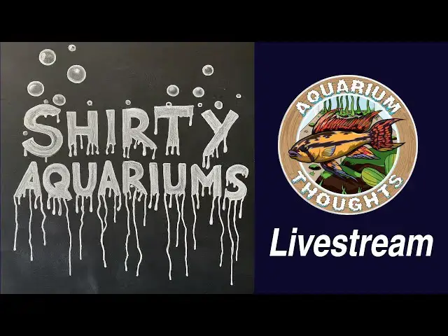 Video thumbnail for Diving into Disaster: Exposing Crappy Aquariums