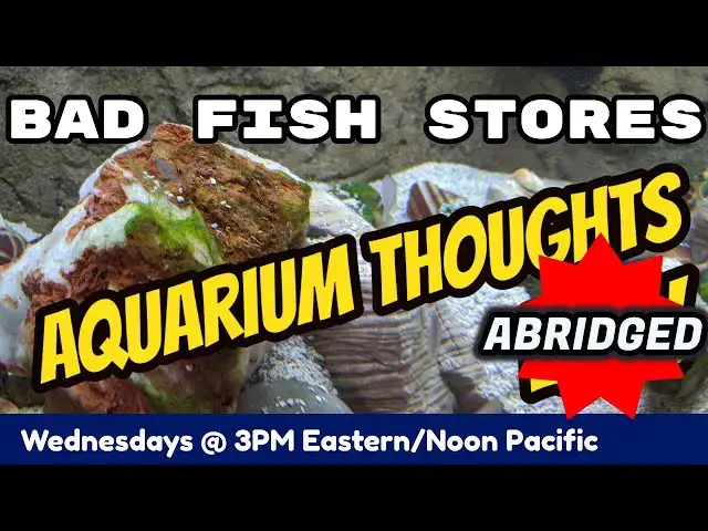 Video thumbnail for Bad Fish Stores - Previously Recorded Live