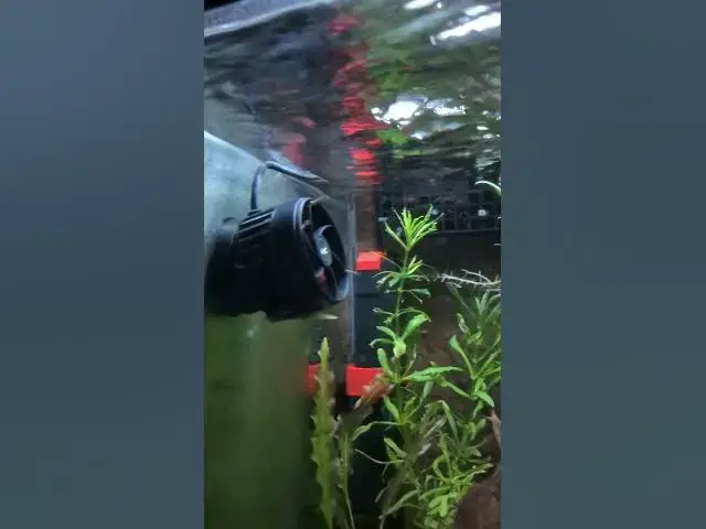 Video thumbnail for Hygger Wave Maker HG165 vs Biofilm #shorts #aquarium  #hygger #wavemaker #biofilm #satisfying