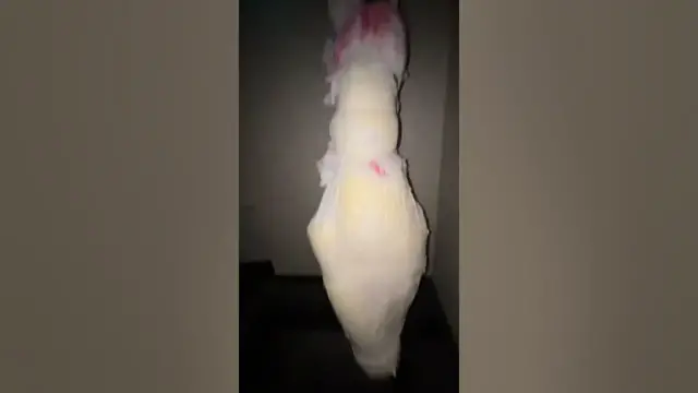 Video thumbnail for Zombie Outbreak / Ripley’s Believe it or Not Genting. Screaming Filipinos part III