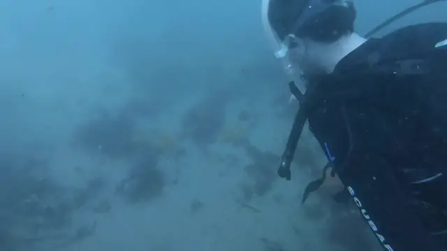 Video thumbnail for Doting Boyfriend Proposes On First Scuba Dive | Happily TV