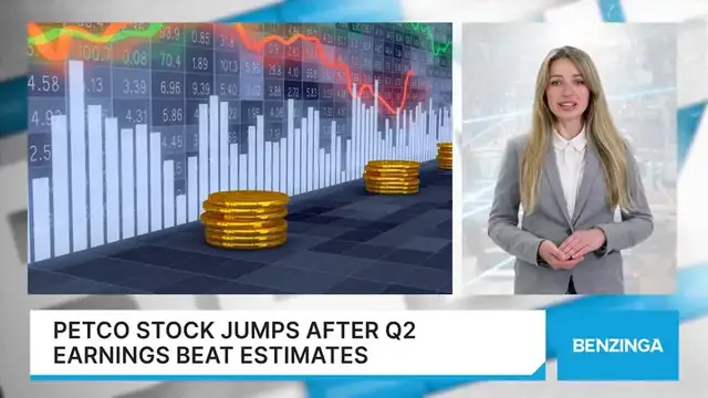 'Video thumbnail for Petco Stock Jumps After Q2 Earnings Beat Estimates'