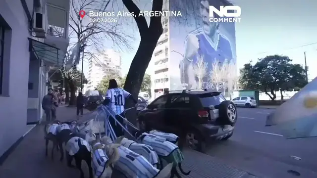 Video thumbnail for Dogs don Argentina shirts as World Cup fever grips Buenos Aires