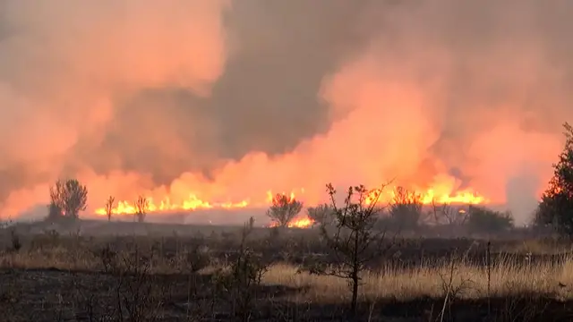 Video thumbnail for Serbia requests international assistance to battle wildfires