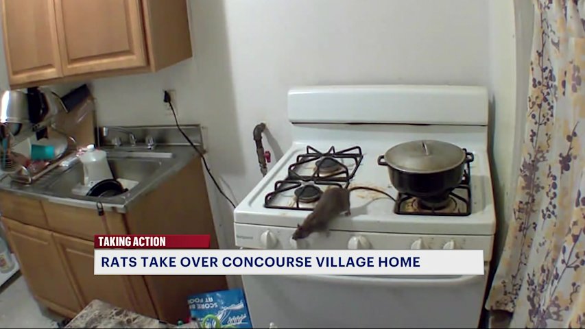 Video thumbnail for Rats terrorize family inside Concourse Village apartment