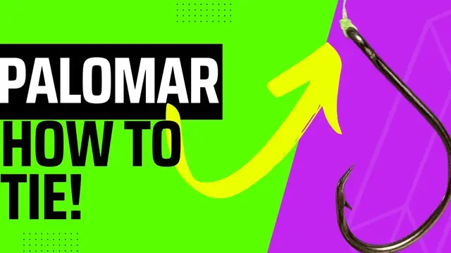 'Video thumbnail for Palomar knot- how to tie- super easy extremely strong- your new go to knot!'