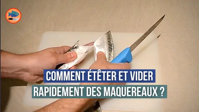 Video thumbnail for Comment étêter et vider rapidement des maquereaux ?