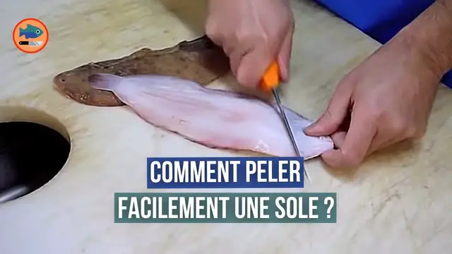 Video thumbnail for Comment peler une sole ?